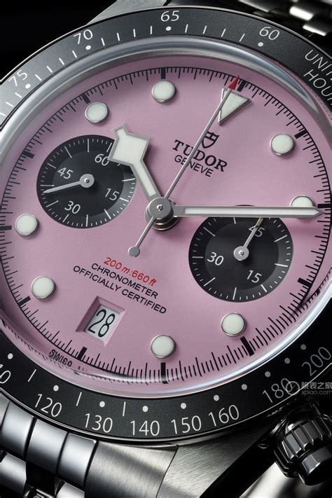 7966 tudor|chronograph 79360n 0019.